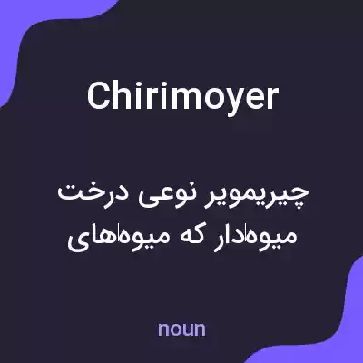 معنی chirimoyer به فارسی