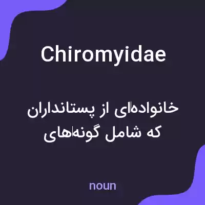معنی chiromyidae به فارسی معنی chiromyidae به فارسی