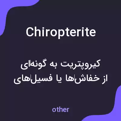 معنی chiropterite به فارسی معنی chiropterite به فارسی