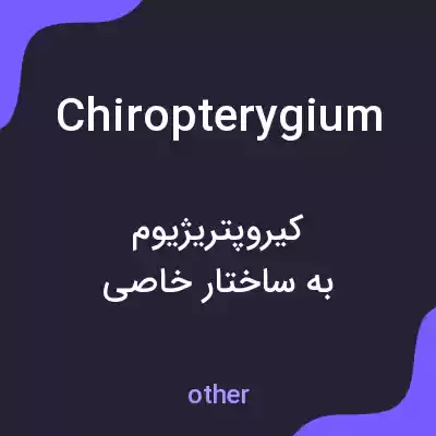 معنی chiropterygium به فارسی معنی chiropterygium به فارسی