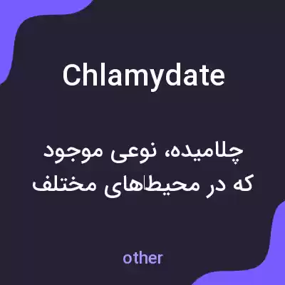 معنی chlamydate به فارسی معنی chlamydate به فارسی