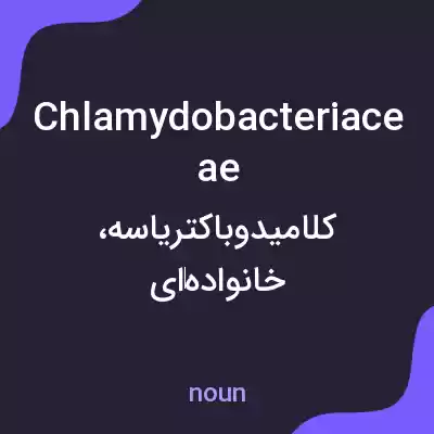 معنی chlamydobacteriaceae به فارسی معنی chlamydobacteriaceae به فارسی