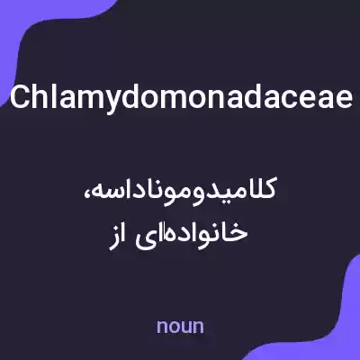 معنی chlamydomonadaceae به فارسی معنی chlamydomonadaceae به فارسی
