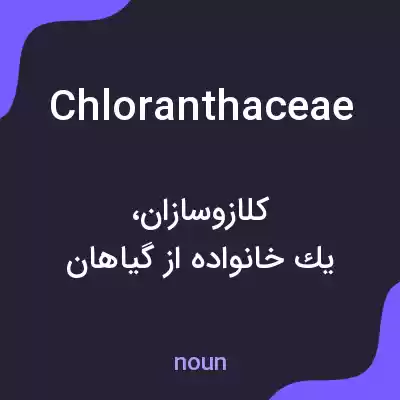 معنی chloranthaceae به فارسی معنی chloranthaceae به فارسی