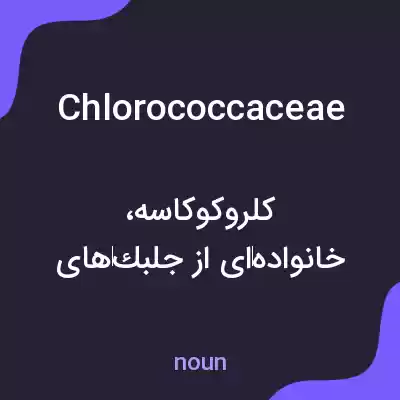 معنی chlorococcaceae به فارسی