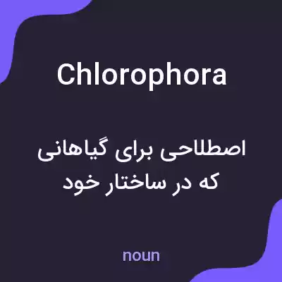معنی chlorophora به فارسی معنی chlorophora به فارسی
