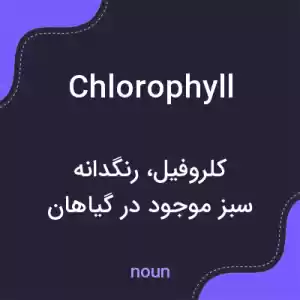 معنی chlorophyll به فارسی معنی chlorophyll به فارسی