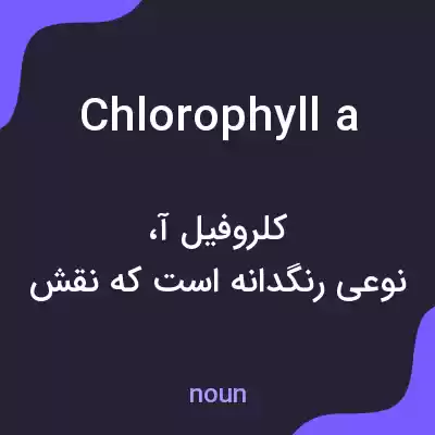 معنی chlorophyll a به فارسی معنی chlorophyll a به فارسی