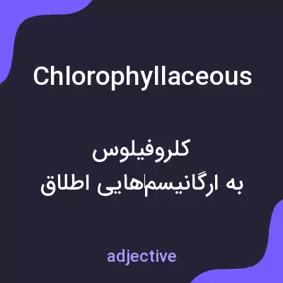 معنی chlorophyllaceous به فارسی معنی chlorophyllaceous به فارسی