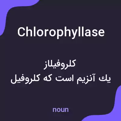 معنی chlorophyllase به فارسی معنی chlorophyllase به فارسی