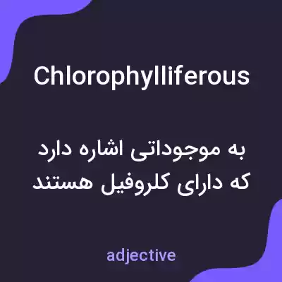 معنی chlorophylliferous به فارسی معنی chlorophylliferous به فارسی