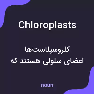 معنی chloroplasts به فارسی معنی chloroplasts به فارسی
