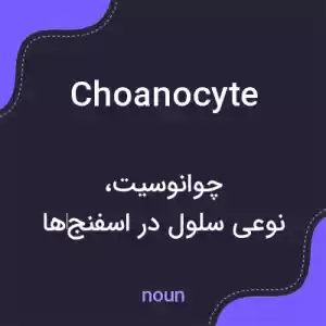 معنی choanocyte به فارسی معنی choanocyte به فارسی