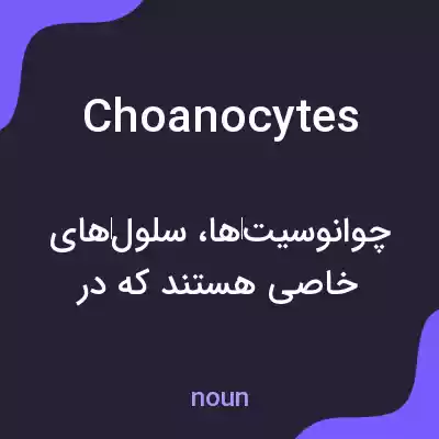 معنی choanocytes به فارسی معنی choanocytes به فارسی