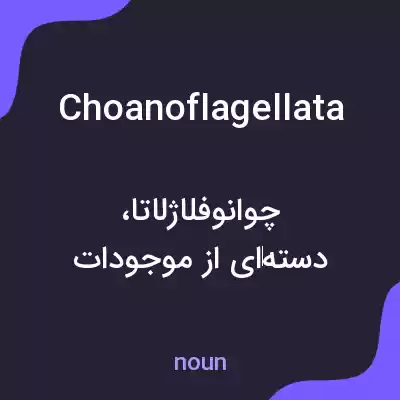 معنی choanoflagellata به فارسی معنی choanoflagellata به فارسی