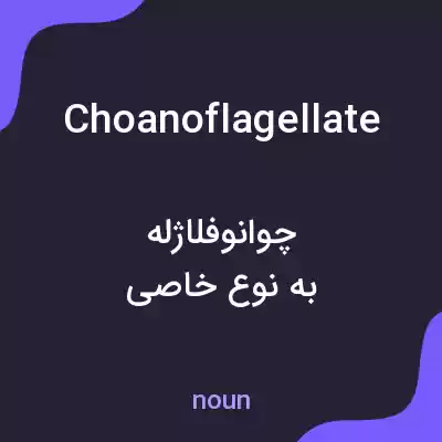 معنی choanoflagellate به فارسی معنی choanoflagellate به فارسی
