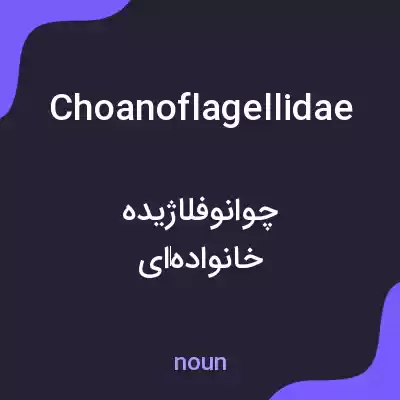 معنی choanoflagellidae به فارسی معنی choanoflagellidae به فارسی