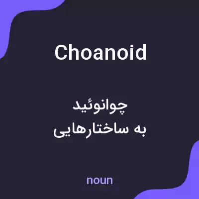معنی choanoid به فارسی معنی choanoid به فارسی