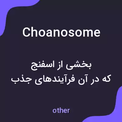 معنی choanosome به فارسی معنی choanosome به فارسی