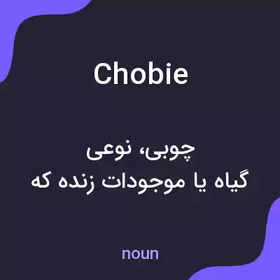 معنی chobie به فارسی معنی chobie به فارسی