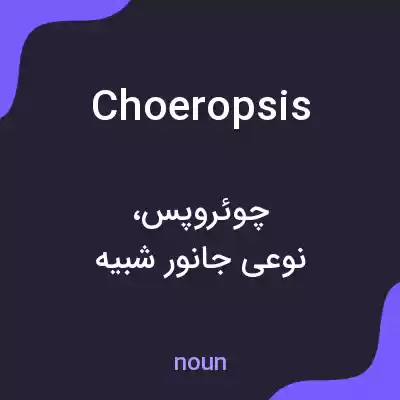 معنی choeropsis به فارسی