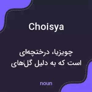 معنی choisya به فارسی معنی choisya به فارسی