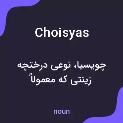 معنی choisyas به فارسی معنی choisyas به فارسی