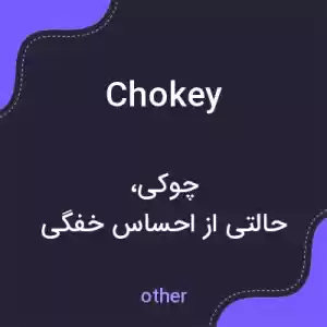 معنی chokey به فارسی معنی chokey به فارسی