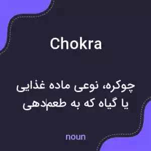 معنی chokra به فارسی معنی chokra به فارسی