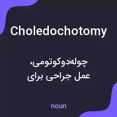 معنی choledochotomy به فارسی معنی choledochotomy به فارسی