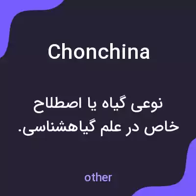 معنی chonchina به فارسی معنی chonchina به فارسی