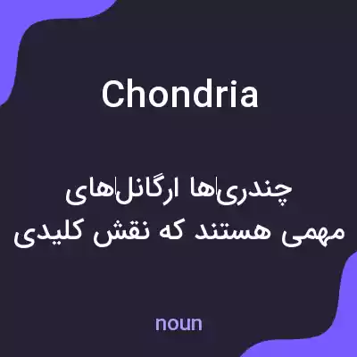 معنی chondria به فارسی