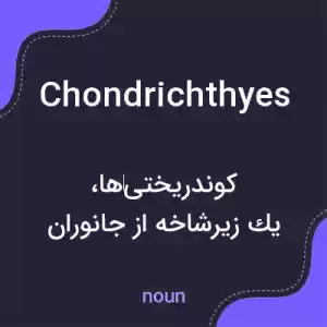 معنی chondrichthyes به فارسی