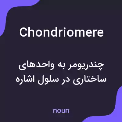 معنی chondriomere به فارسی معنی chondriomere به فارسی