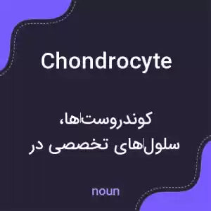 معنی chondrocyte به فارسی
