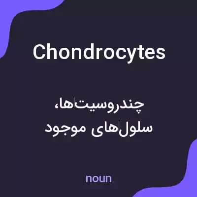 معنی chondrocytes به فارسی معنی chondrocytes به فارسی