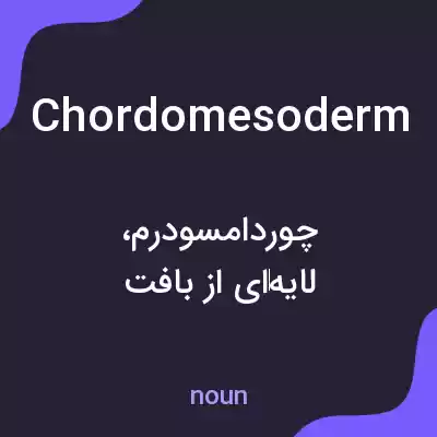 معنی chordomesoderm به فارسی معنی chordomesoderm به فارسی