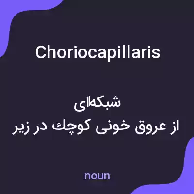 معنی choriocapillaris به فارسی معنی choriocapillaris به فارسی