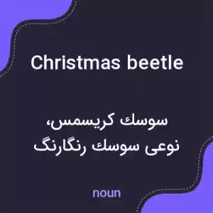 معنی christmas beetle به فارسی معنی christmas beetle به فارسی