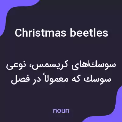 معنی christmas beetles به فارسی معنی christmas beetles به فارسی