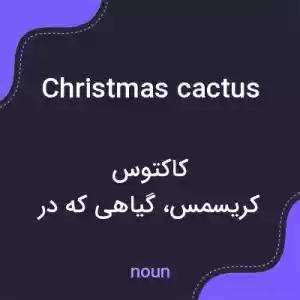 معنی christmas cactus به فارسی معنی christmas cactus به فارسی