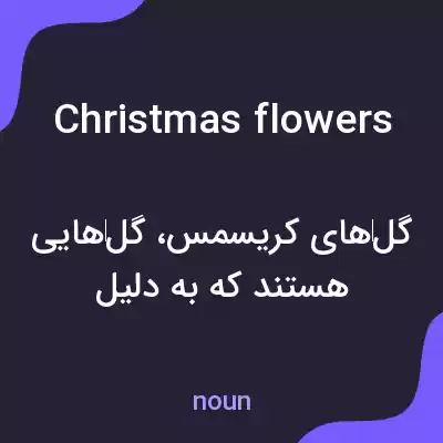 معنی christmas flowers به فارسی معنی christmas flowers به فارسی