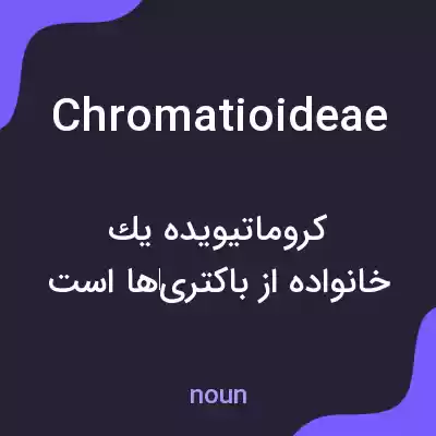 معنی chromatioideae به فارسی معنی chromatioideae به فارسی