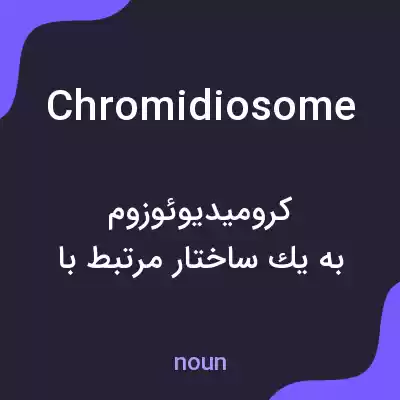 معنی chromidiosome به فارسی