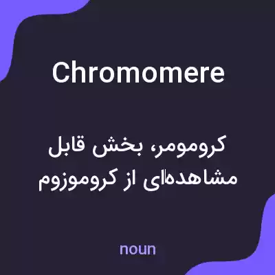 معنی chromomere به فارسی معنی chromomere به فارسی