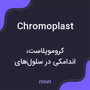معنی chromoplast به فارسی معنی chromoplast به فارسی