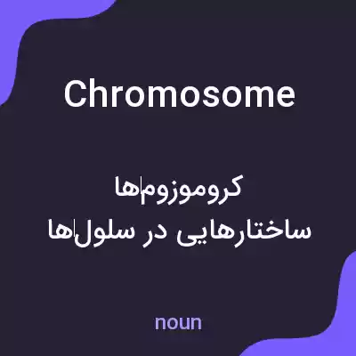 معنی chromosome به فارسی معنی chromosome به فارسی