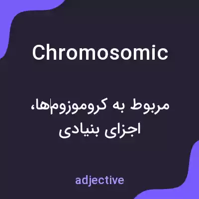 معنی chromosomic به فارسی