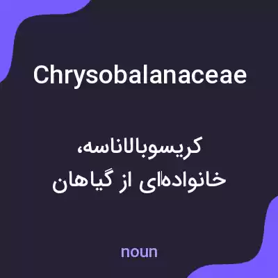 معنی chrysobalanaceae به فارسی معنی chrysobalanaceae به فارسی