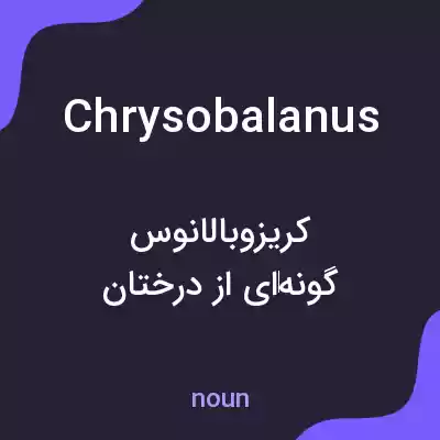 معنی chrysobalanus به فارسی معنی chrysobalanus به فارسی